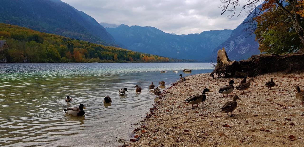 7 Lakes Apartment Bohinj Εξωτερικό φωτογραφία