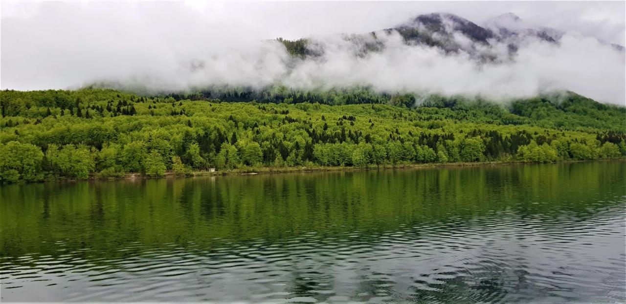 7 Lakes Apartment Bohinj Εξωτερικό φωτογραφία