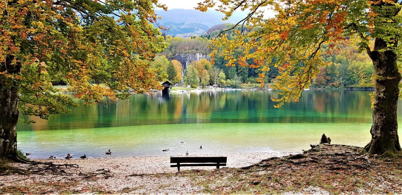 7 Lakes Apartment Bohinj Εξωτερικό φωτογραφία