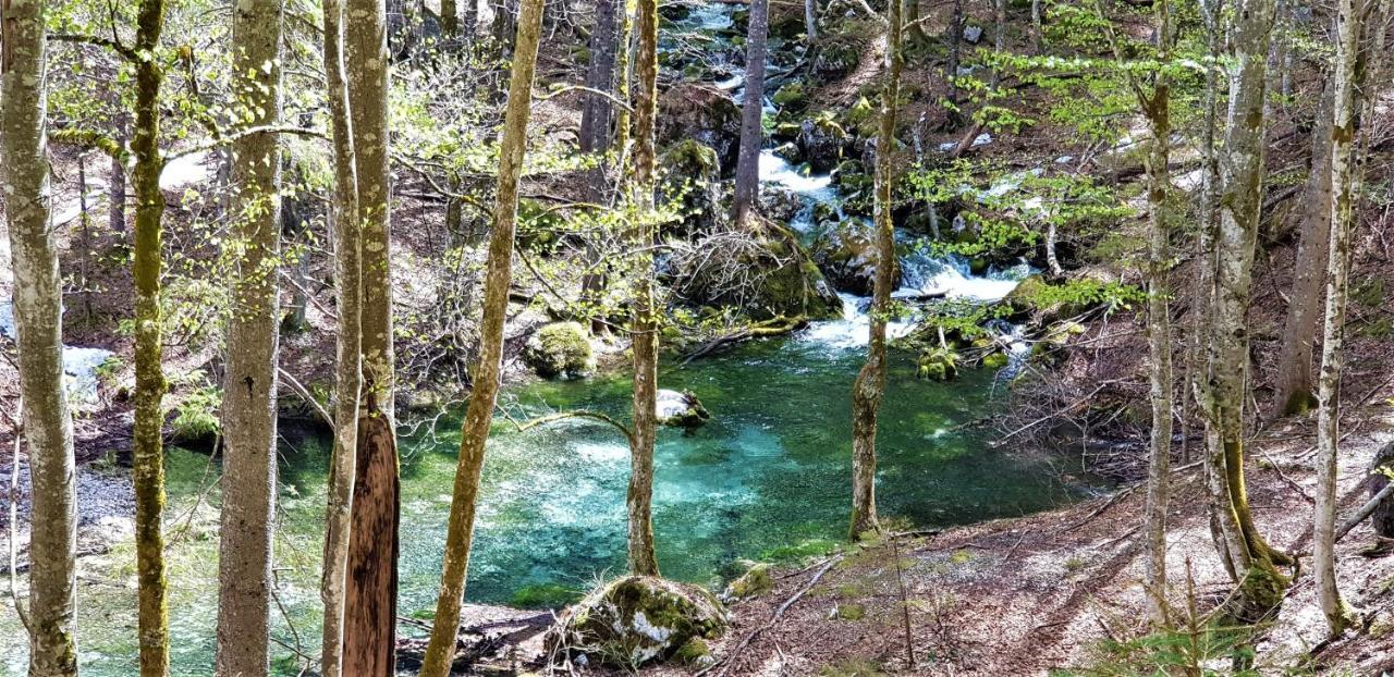 7 Lakes Apartment Bohinj Εξωτερικό φωτογραφία